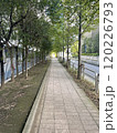 緑の多いオフィス街の歩道 120226793