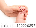 赤ちゃんの手を優しく握るママの手 120226857