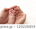 赤ちゃんの手を優しく包み込むママの手 120226859