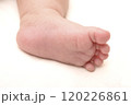赤ちゃんの左足 120226861