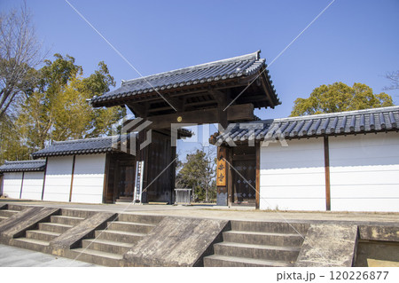 大安寺 南門 大安寺 南門 120226877