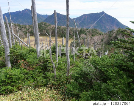 太郎山の火口跡と女峰方面 太郎山の火口跡と女峰方面 120227064