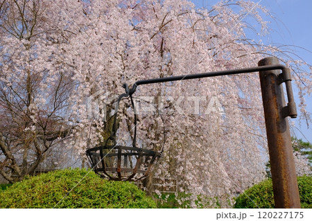 円山公園の篝籠 120227175