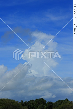夏の青空と白い雲 120227314