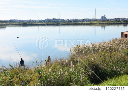 油ヶ渕水辺公園 120227385