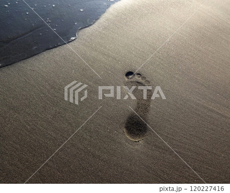 波打ち際の足跡 波打ち際の足跡 120227416