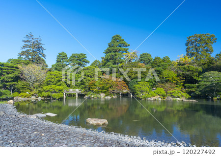 秋の京都御所　御池庭 120227492