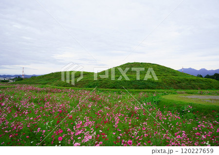 7304　双子山古墳 120227659