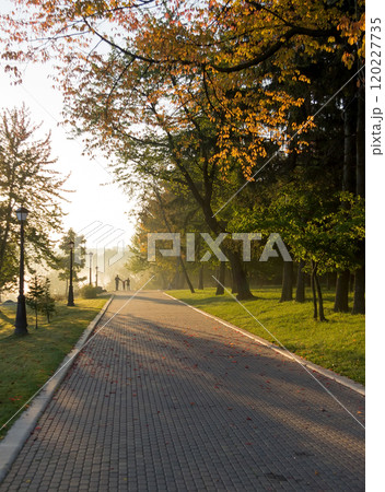 Walkway in the park in the summer Walkway in the park in the summer 120227735