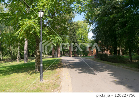 Walkway and lamp in the park in the summer Walkway and lamp in the park in the summer 120227750