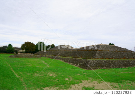 7297　保渡田八幡塚古墳 120227928