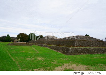 7298　保渡田八幡塚古墳 120227929