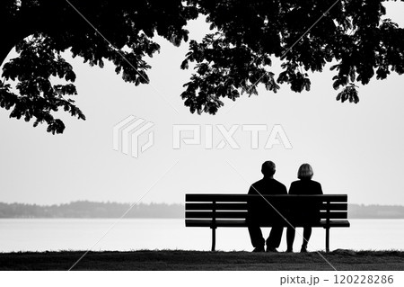湖畔のベンチに座る男女の後ろ姿 - 静寂と平穏のシルエット 120228286
