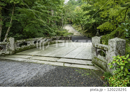 坂本　日吉大社　大宮橋　滋賀県大津市 120228291