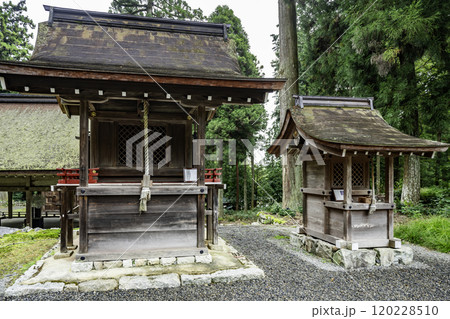 坂本 日吉大社 宇佐竃殿社と気比社 滋賀県大津市 坂本 日吉大社 宇佐竃殿社と気比社 滋賀県大津市 120228510