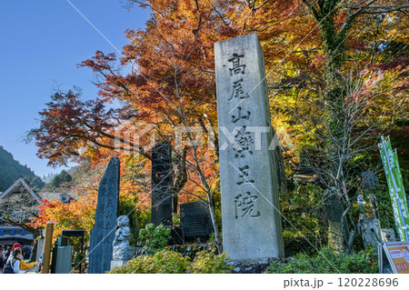 高尾山 ケーブルカー駅 清滝駅広場の紅葉 高尾山 ケーブルカー駅 清滝駅広場の紅葉 120228696