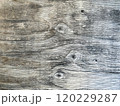 古い木の板 120229287