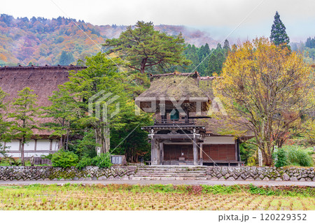 白川郷　紅葉　世界遺産　 岐阜県　2024 120229352