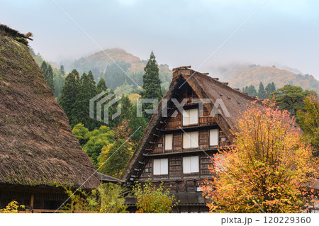 白川郷 紅葉 世界遺産 岐阜県 2024 白川郷 紅葉 世界遺産 岐阜県 2024 120229360