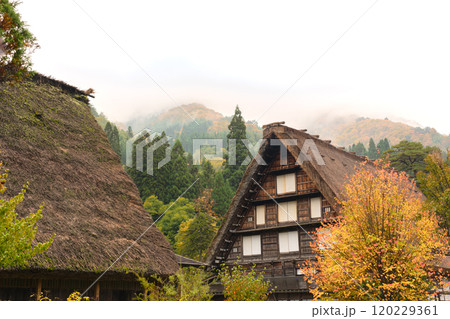 白川郷 紅葉 世界遺産 岐阜県 2024 白川郷 紅葉 世界遺産 岐阜県 2024 120229361