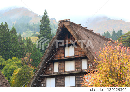 白川郷 紅葉 世界遺産 岐阜県 2024 白川郷 紅葉 世界遺産 岐阜県 2024 120229362