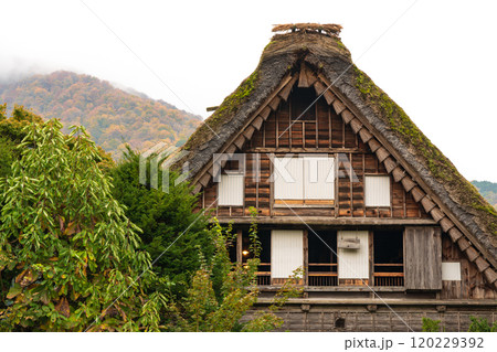 白川郷　紅葉　世界遺産　 岐阜県　2024 120229392