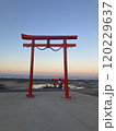 まるで海中鳥居！？大魚神社 120229637