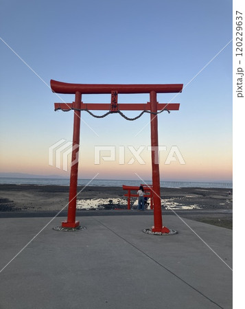 まるで海中鳥居！？大魚神社 120229637