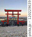 干潮時の海中鳥居 120229639