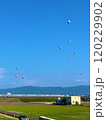 青空に浮かぶバルーン 佐賀バルーンフェスタ2024 120229902