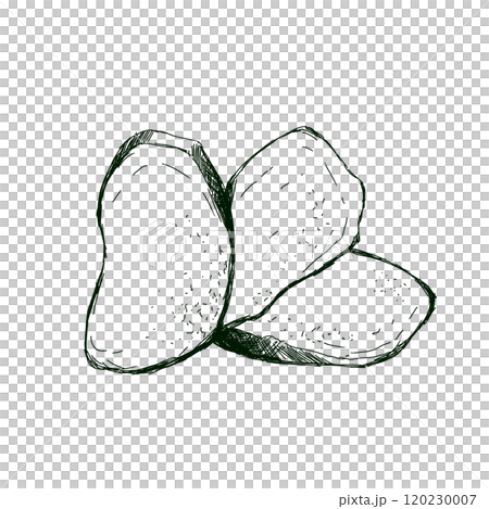 Ginger Root Slices Fresh Seasoning Top View Graphic Black and White Illustration Sketch Doodle for Printing and Web Design Ginger Root Slices Fresh Seasoning Top View Graphic Black and White Illustration Sketch Doodle for Printing and Web Design 120230007