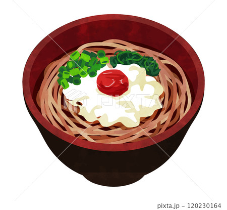 梅おろし蕎麦 120230164