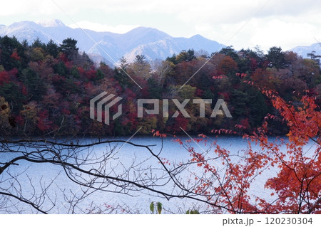 紅葉に包まれる八丁出島 120230304