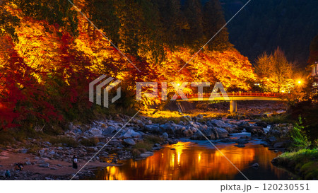 香嵐渓(秋) 香嵐渓(秋) 120230551