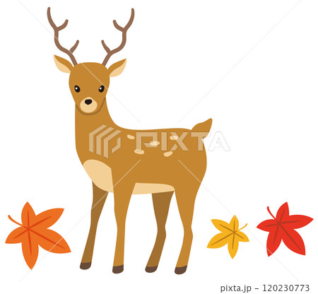 鹿 ニホンジカのイラスト素材 [120230773] - PIXTA