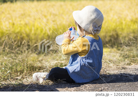 稲田をバックに座って水分補給をする女の子 稲田をバックに座って水分補給をする女の子 120230831