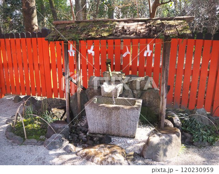 赤い鳥居 120230959