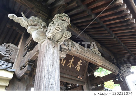 本覺寺のペンキが塗られた獅子頭など 本覺寺のペンキが塗られた獅子頭など 120231074