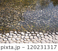 川底が見える川の流れ 120231317