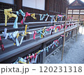 神社の境内に結ばれたおみくじ 120231318