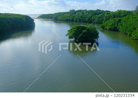 石垣島の宮良川満潮時の河口 石垣島の宮良川満潮時の河口 120231334