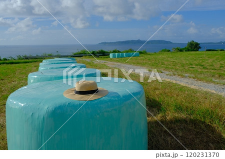 牧草ロールと麦わら帽子 牧草ロールと麦わら帽子 120231370
