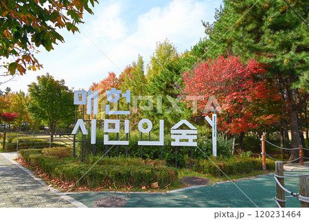 紅葉の美しい公園・梅軒市民の森【韓国/ソウル】 120231464