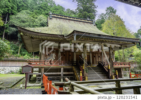 坂本　日吉大社　西本宮本殿　滋賀県大津市 120231541