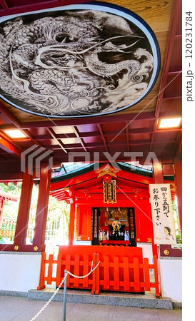 【箱根・九頭龍神社】新宮の迫力ある天井絵 【箱根・九頭龍神社】新宮の迫力ある天井絵 120231784