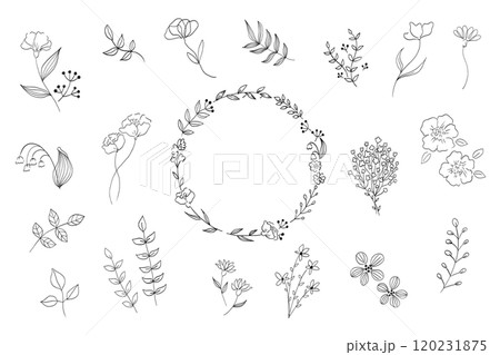 シンプルな植物の線画イラストセット 120231875