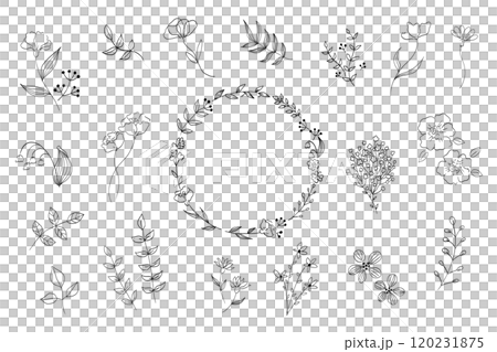 シンプルな植物の線画イラストセット 120231875