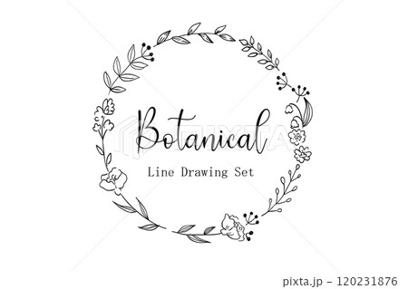 シンプルなリーフの線画フレームイラスト 120231876