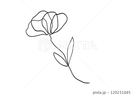 シンプルな花の線画イラストのイラスト素材 [120231885] - PIXTA