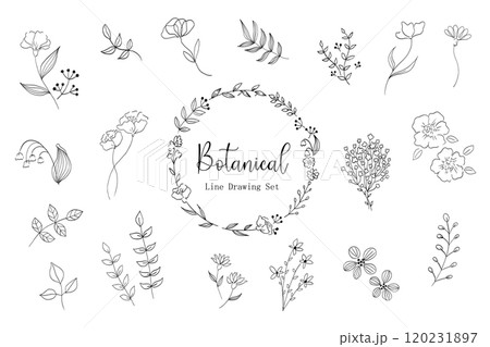 シンプルな植物の線画イラストセット 120231897